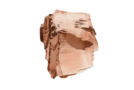 Roche